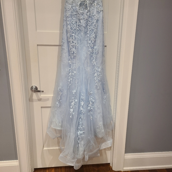 Prom/Evening Gown - Picture 7 of 11